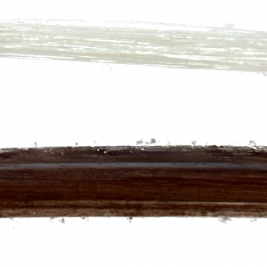 R-5395 German bass bow Les Korus